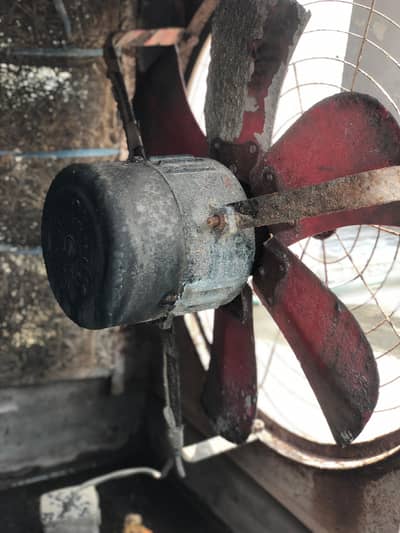 Air cooler