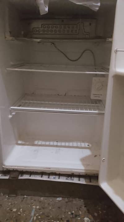 Room Fridge