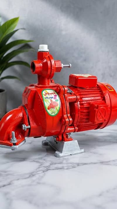 Special Punjab pump for sell