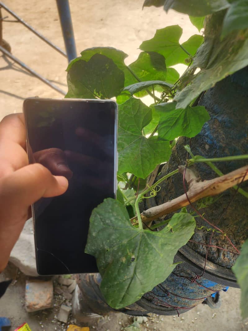 infinite note 50pro 4