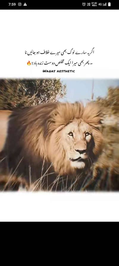Munwar