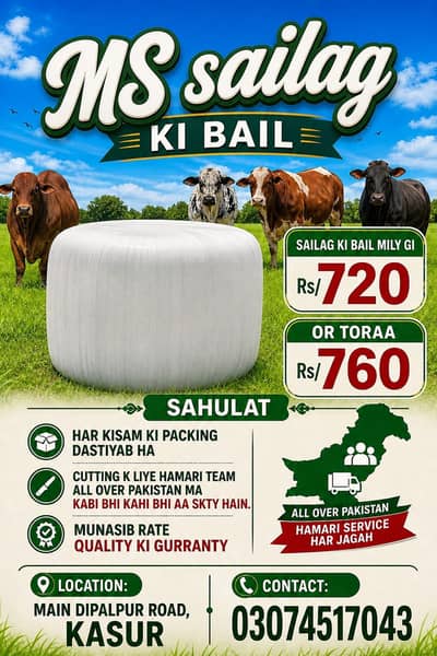 Sailage /khaki Silage /Animal feed /cow feed ,03074517043