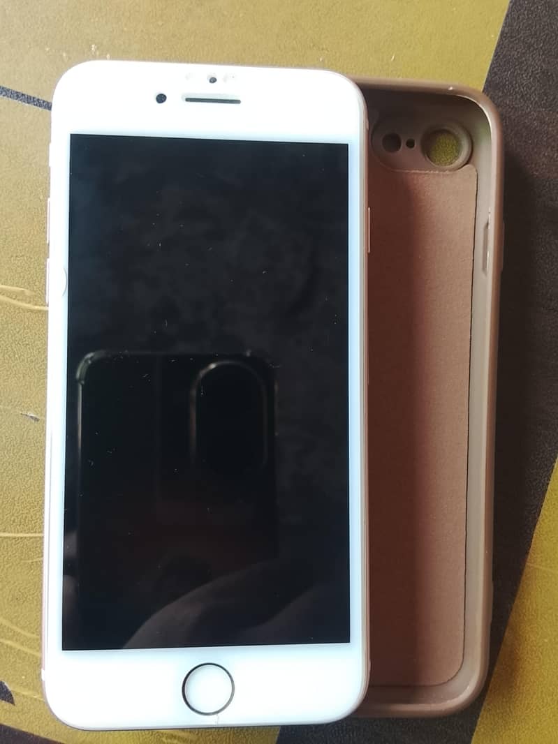 message only Whatsapp 3