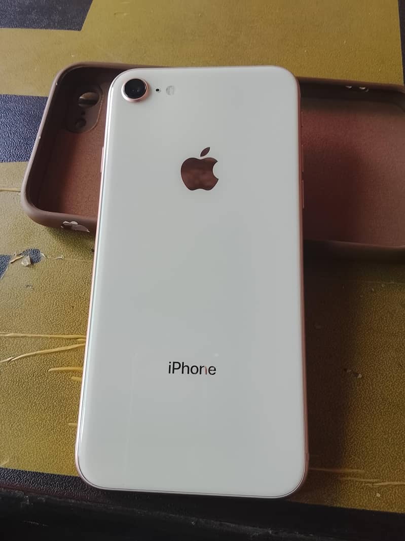 message only Whatsapp 5