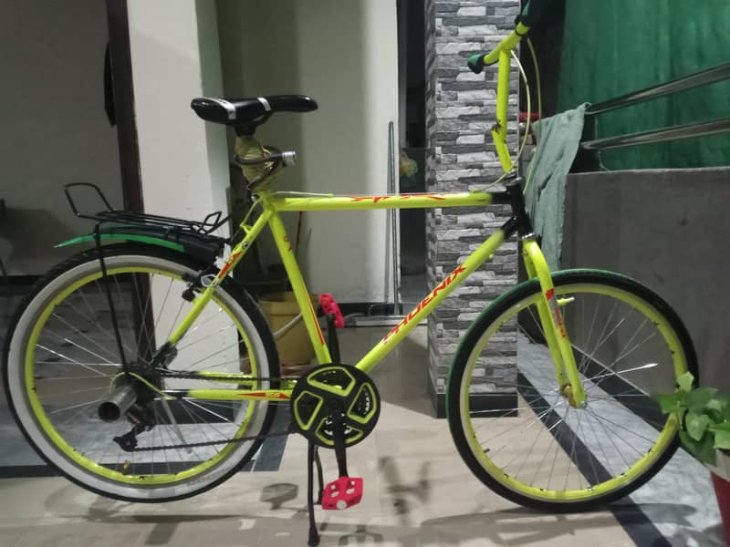 Phoenix cycle 1