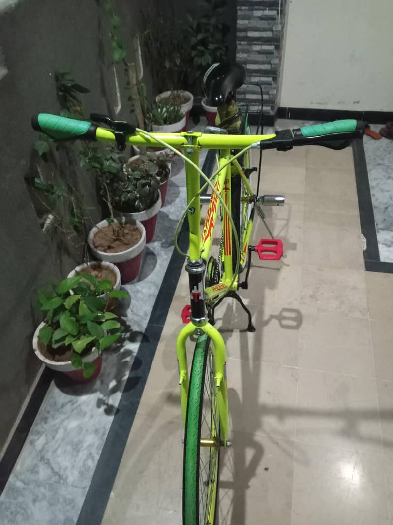 Phoenix cycle 2