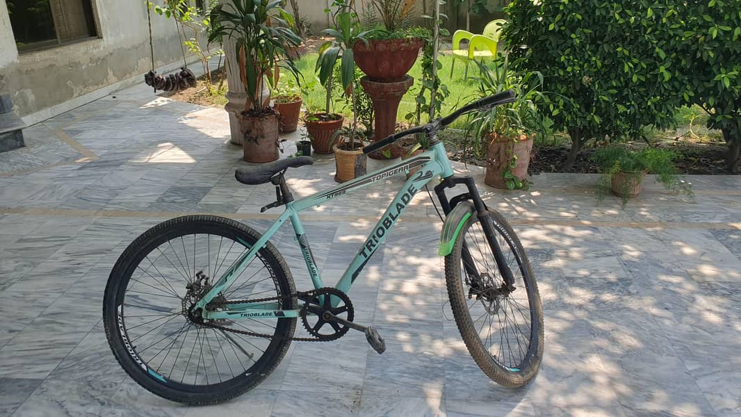 cycle 0