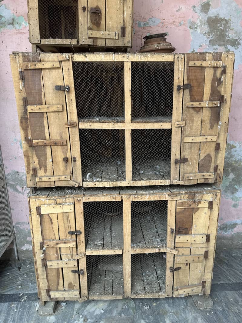 Cages 1