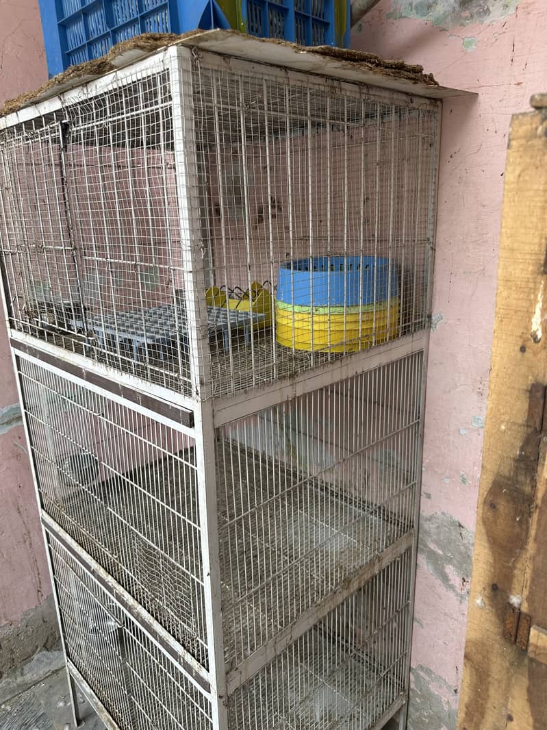 Cages 2