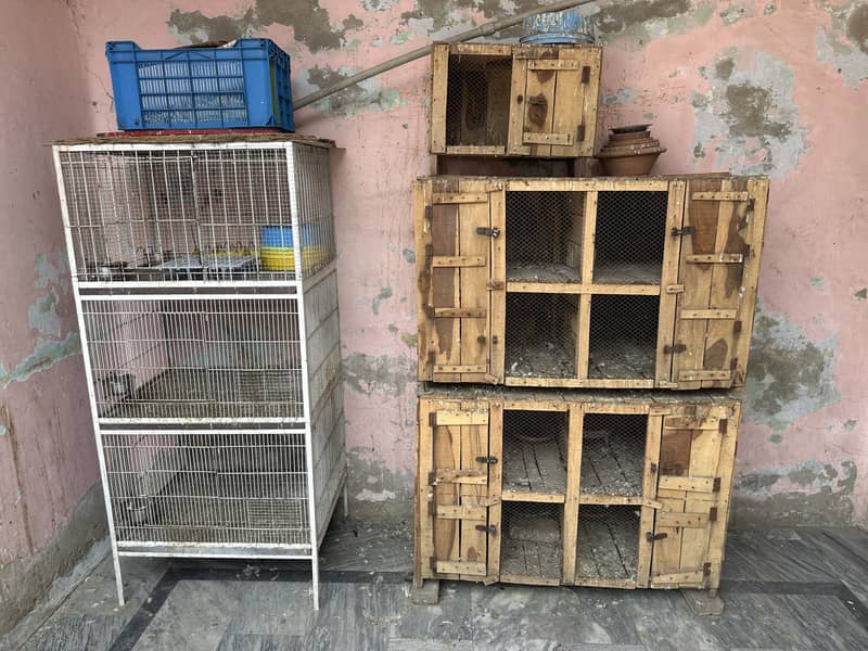 Cages 3