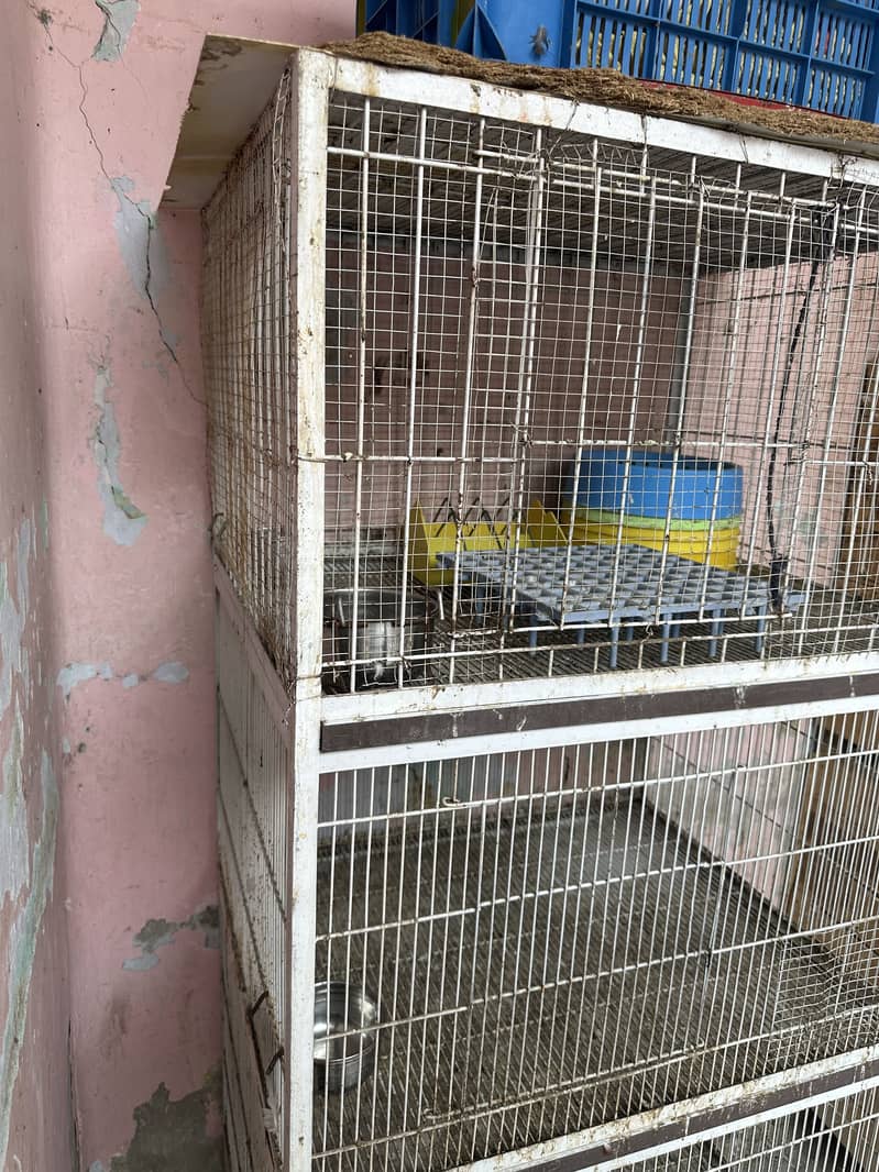 Cages 4