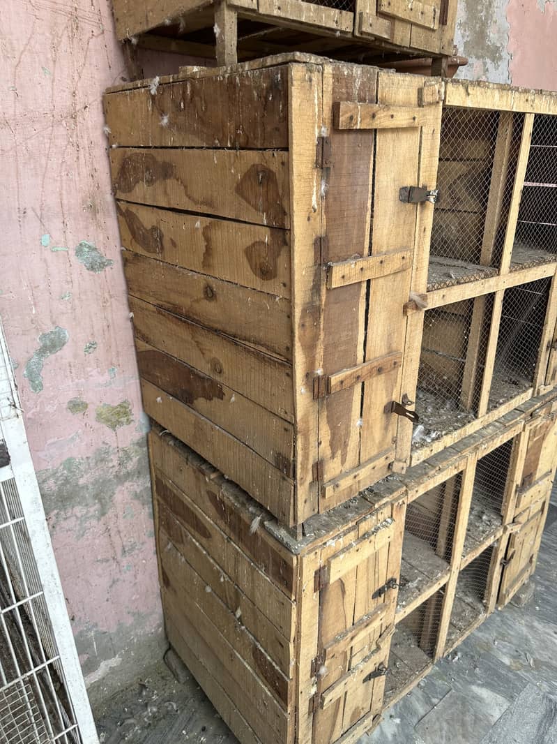 Cages 5