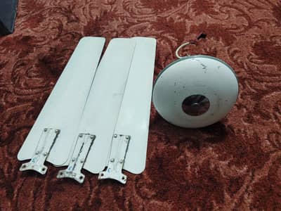 celling fans pure copper