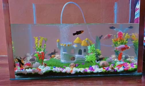 Fish Equirium with fish 