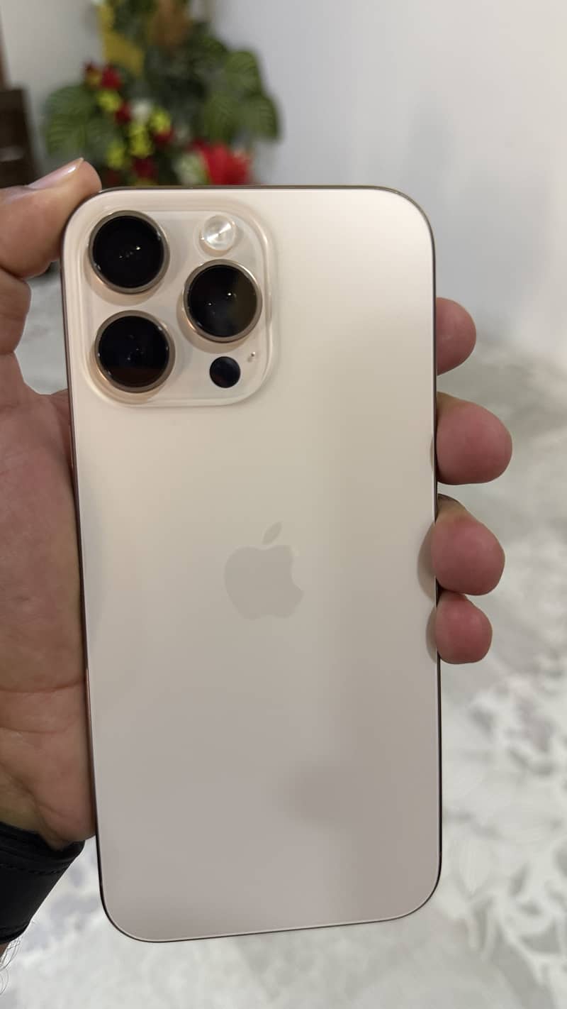iPhone 16 Pro Max 0