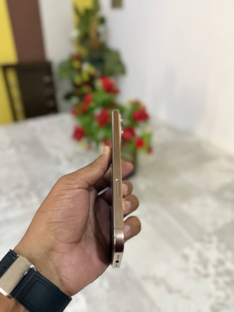 iPhone 16 Pro Max 1