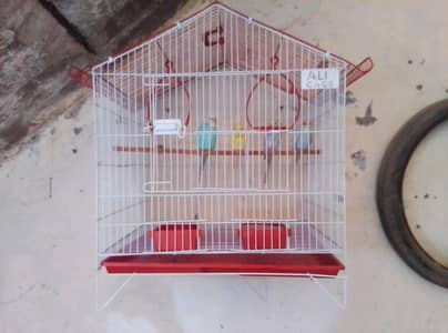 buggies sale urgent paison ki zurat ha 2 breeding pairs hain with cage