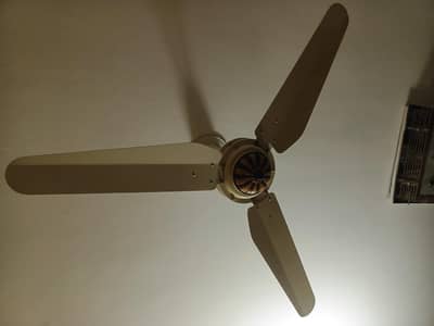 Pak Fan