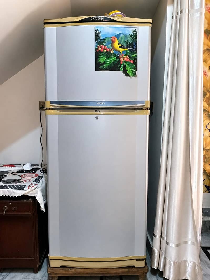 Fridge 0