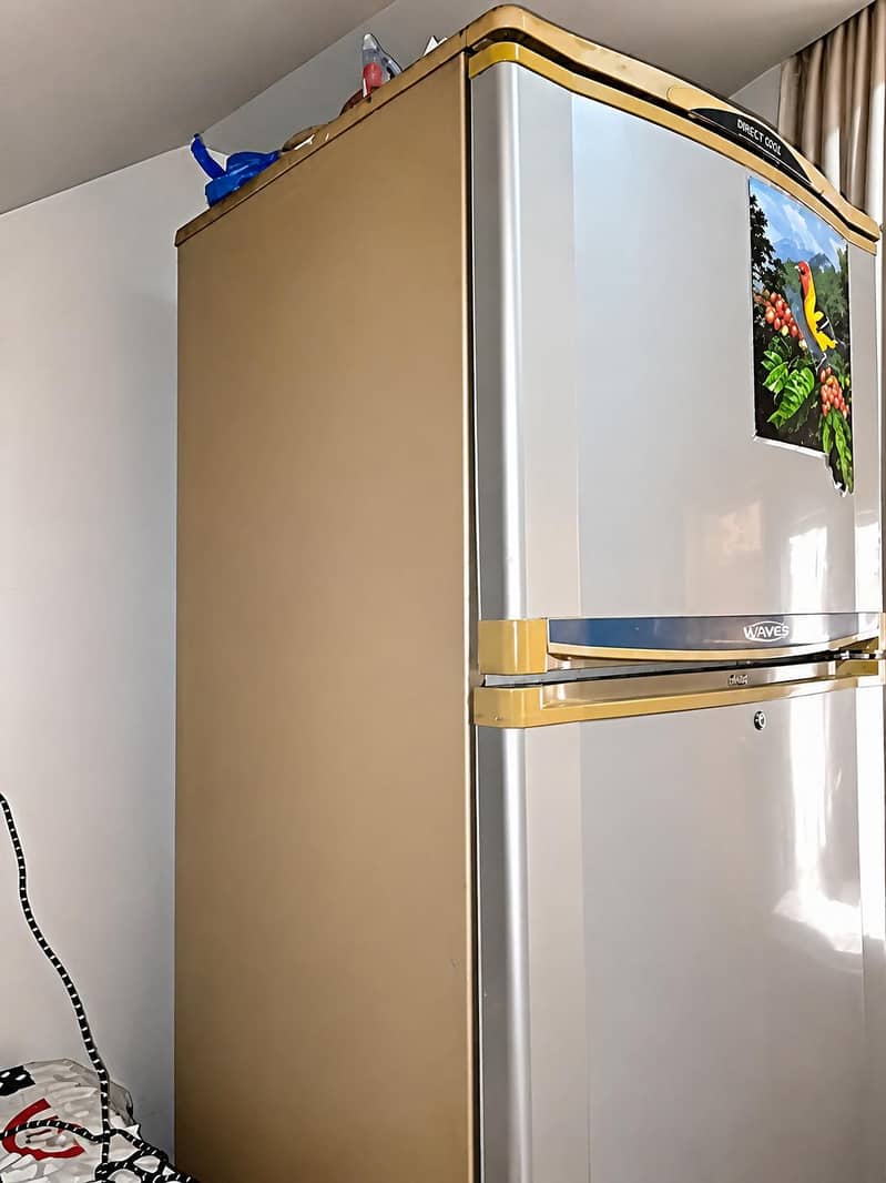 Fridge 1