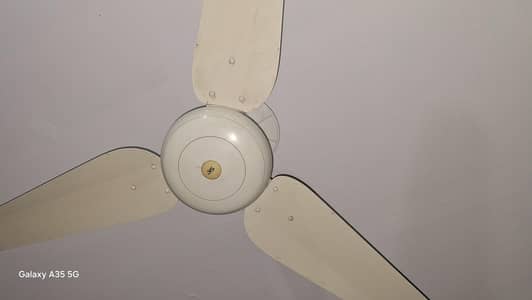 argent for sale sk fans