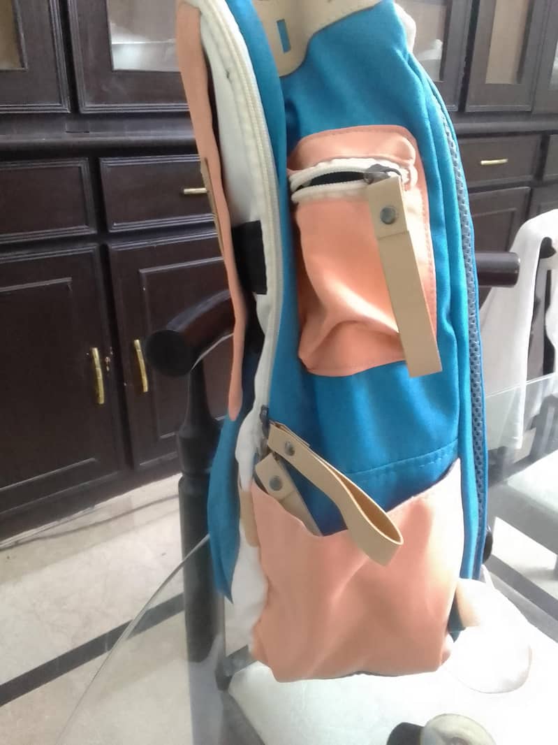 School/ College Backpack 2