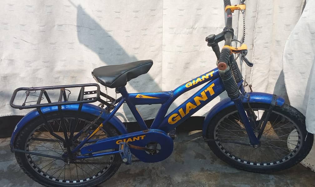 Gaint, 1