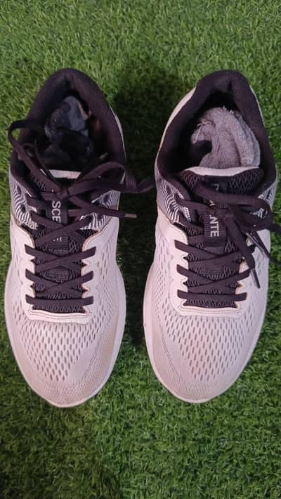 Original Descente Shoes