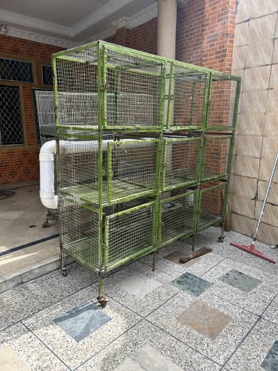 Best Large Size Cage: 03276009655
