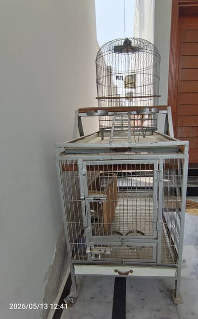 gray parrot cage