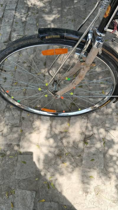 China cycle Mor WhatsApp number 03217398552