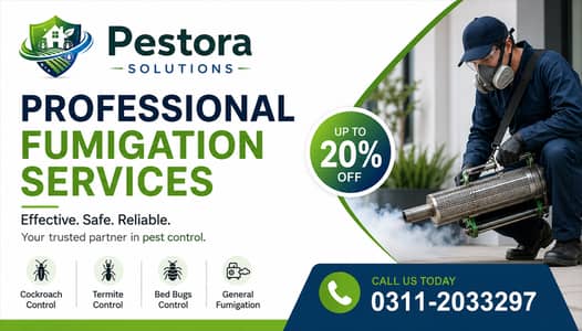 Termite Deemak Control Pest Control Fumigation Services in Karachi