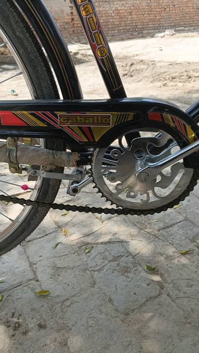 China cycle Mor WhatsApp number 03217398552