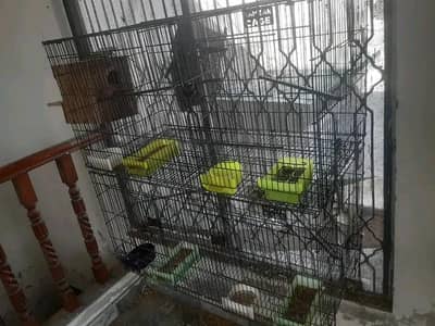 1.5 x 3 size 2 folding cages