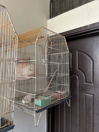Breeding cage available for sale