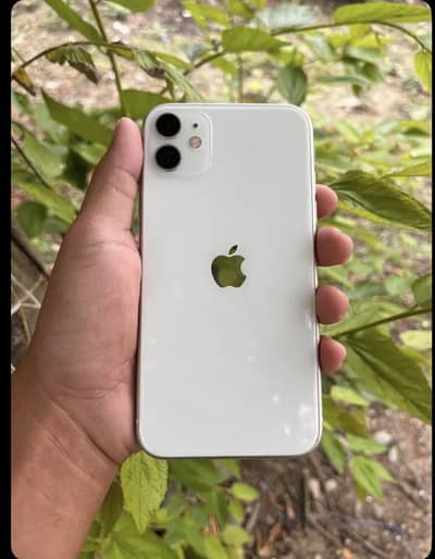Iphone 11 nonpta 10/10