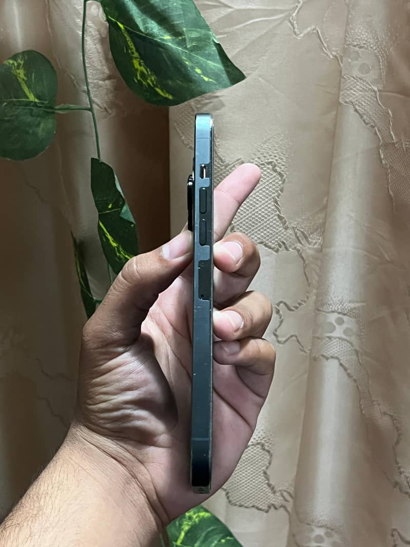 Iphone 13 pro max 1