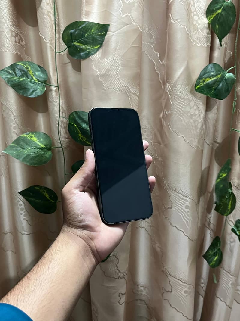 Iphone 13 pro max 3