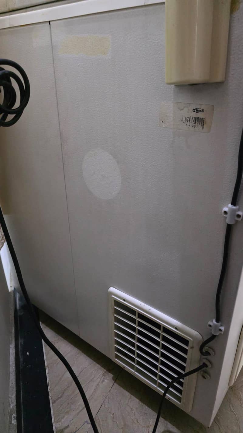 waves freezer 1