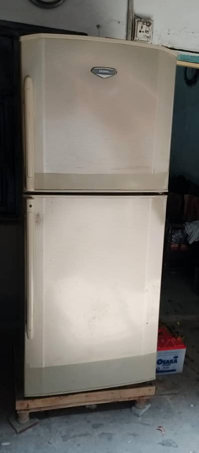 Hair refrigerator. /large size he 03039042591