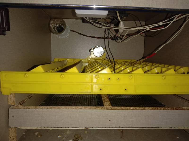 36 eggs automatic incubator | fully Automatic hatchery Machine | 1
