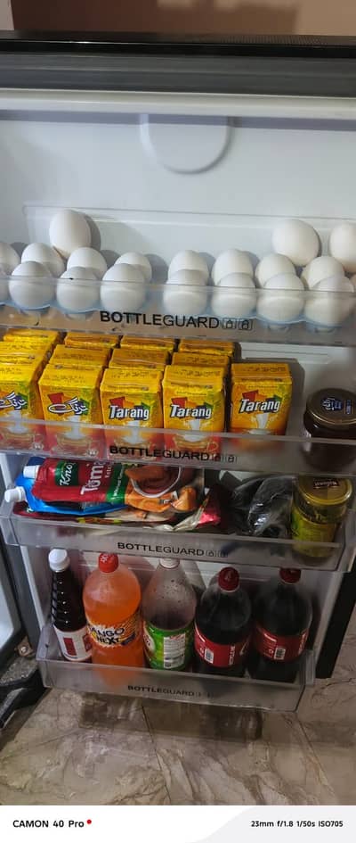 Hair inverter Fridge