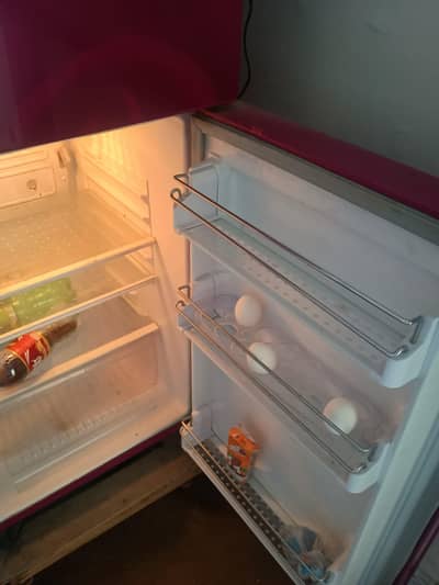 fridge model R. 309 Glass door