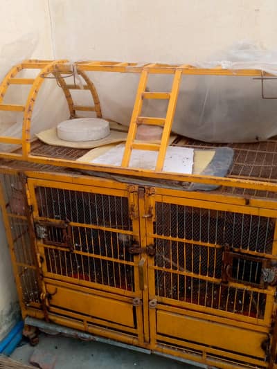 mukamal cage birds exchange bakri ka sat