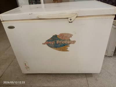 waves deep freezer