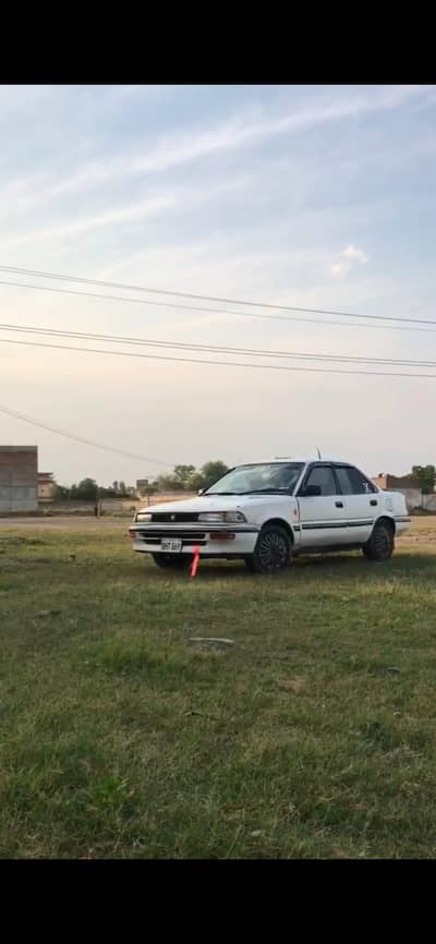 1988 corrolloa