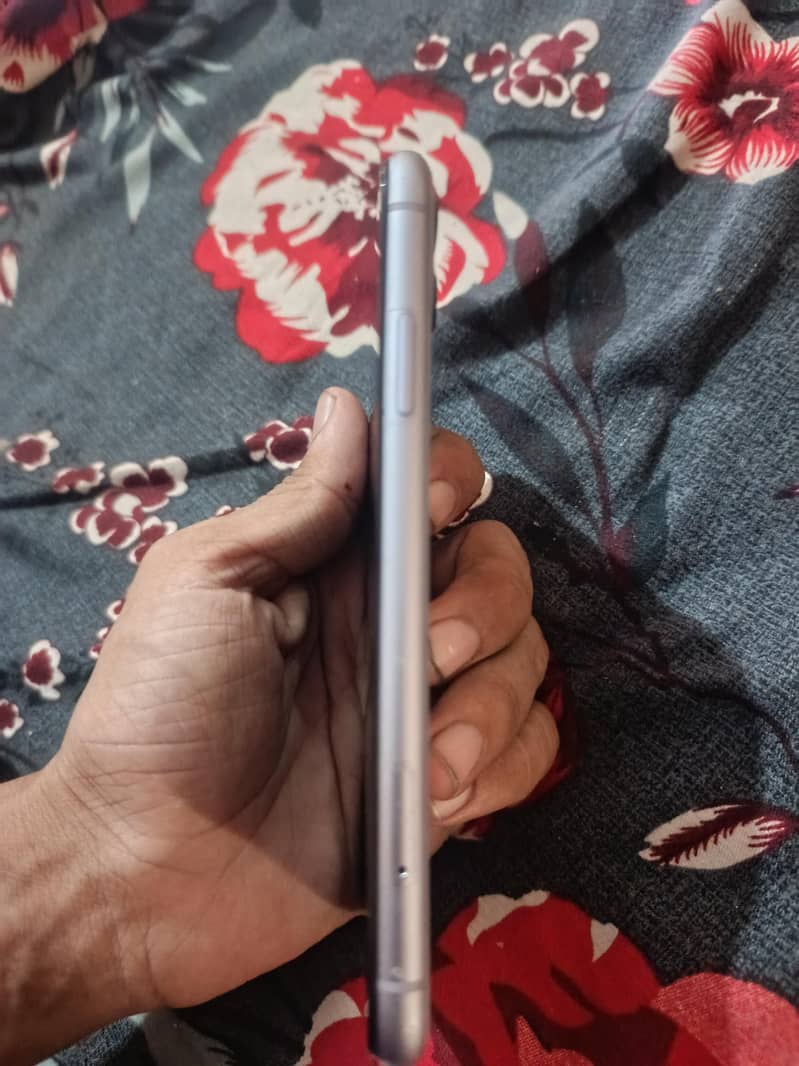 iPhone 5