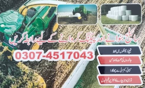 Sailage /khaki Silage /Animal feed /cow feed ,03074517043