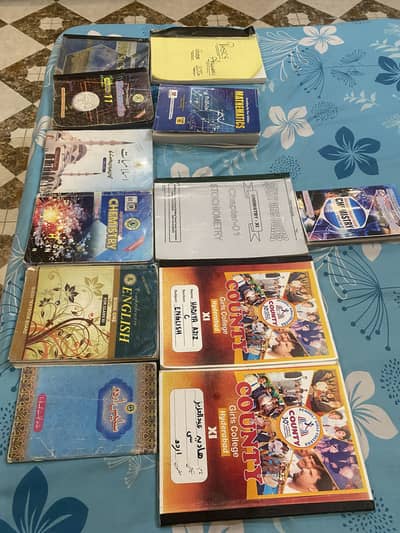 Class 11th complete set + Brand new Guides and Past Papers - Board