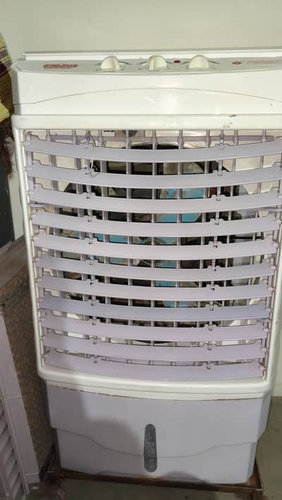 12 volt dc cooler